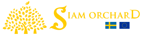 Your logo